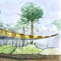 Fusuisaurus pictures